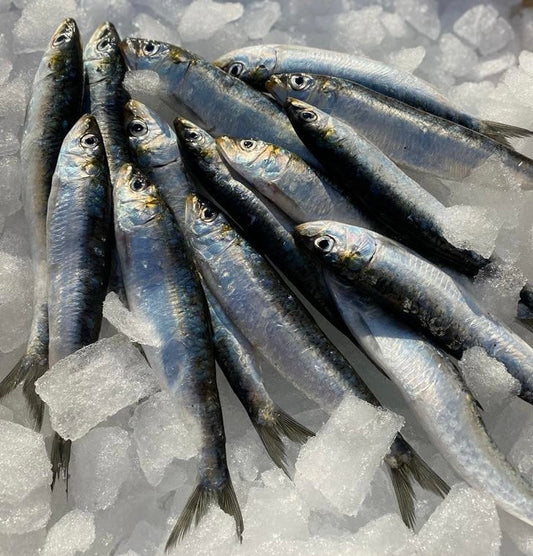 Wylde about....The Humble Anchovy.