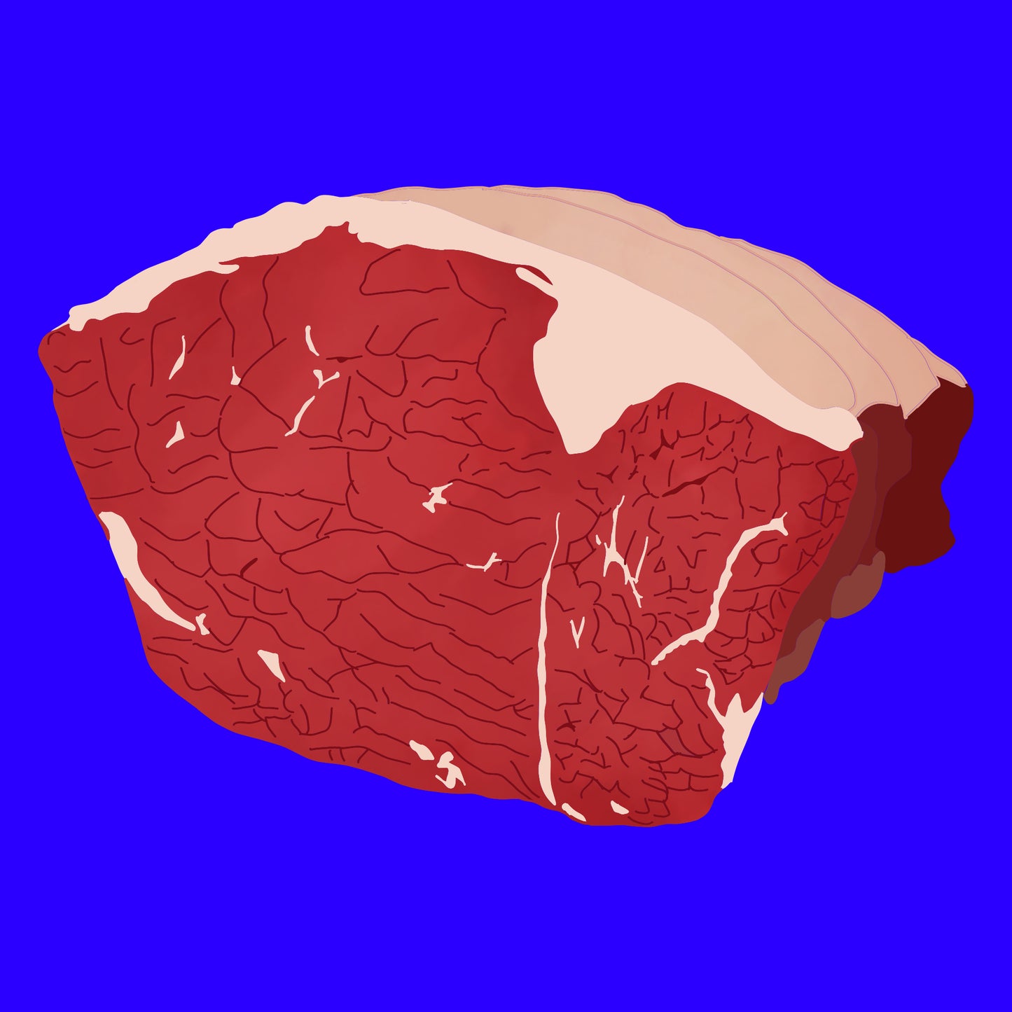 Pasture fed organic beef silverside