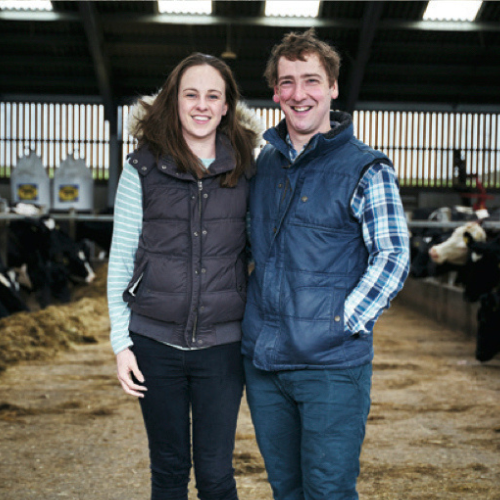 Yoredale extra mature