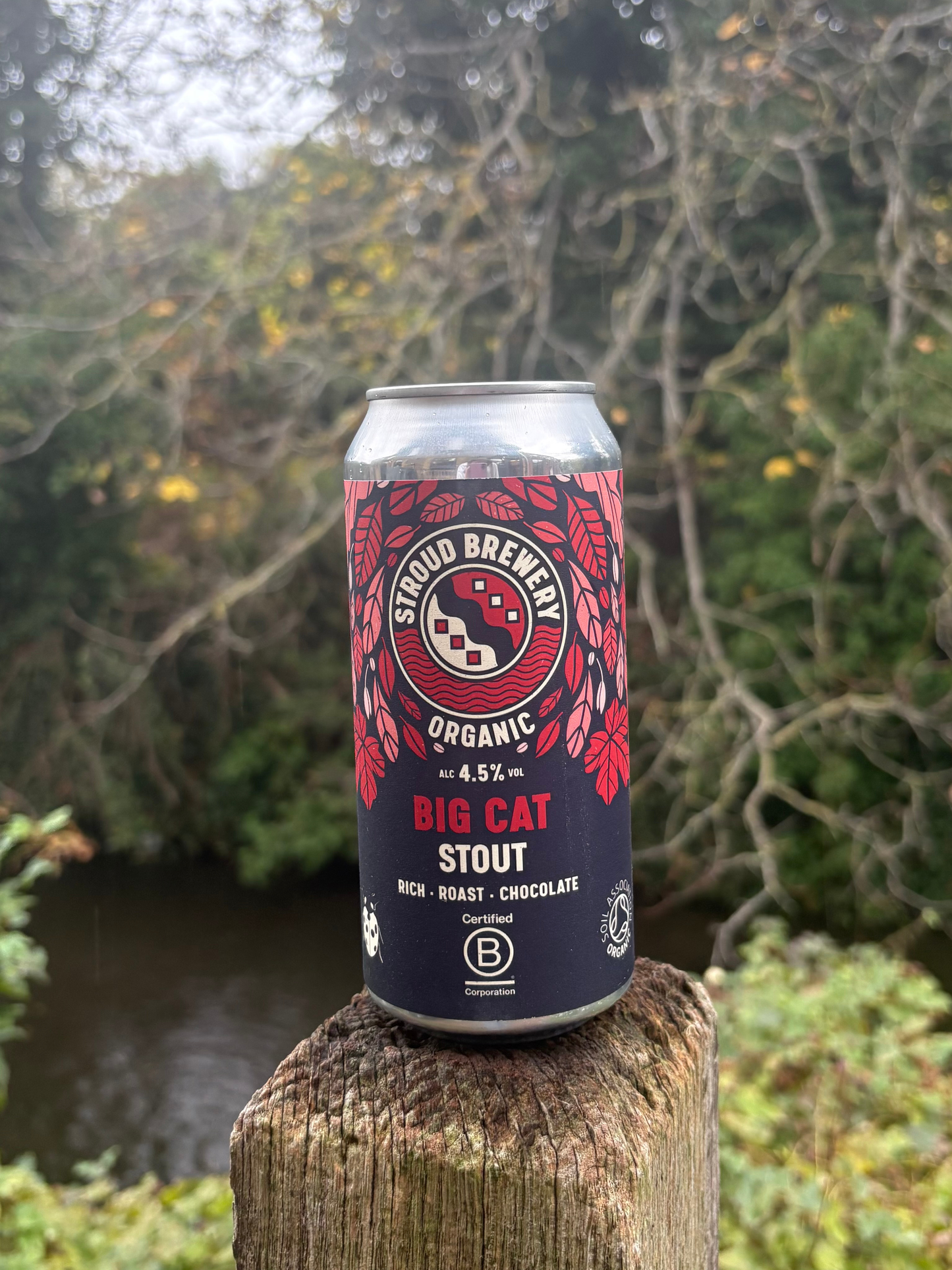 Organic Big Cat stout