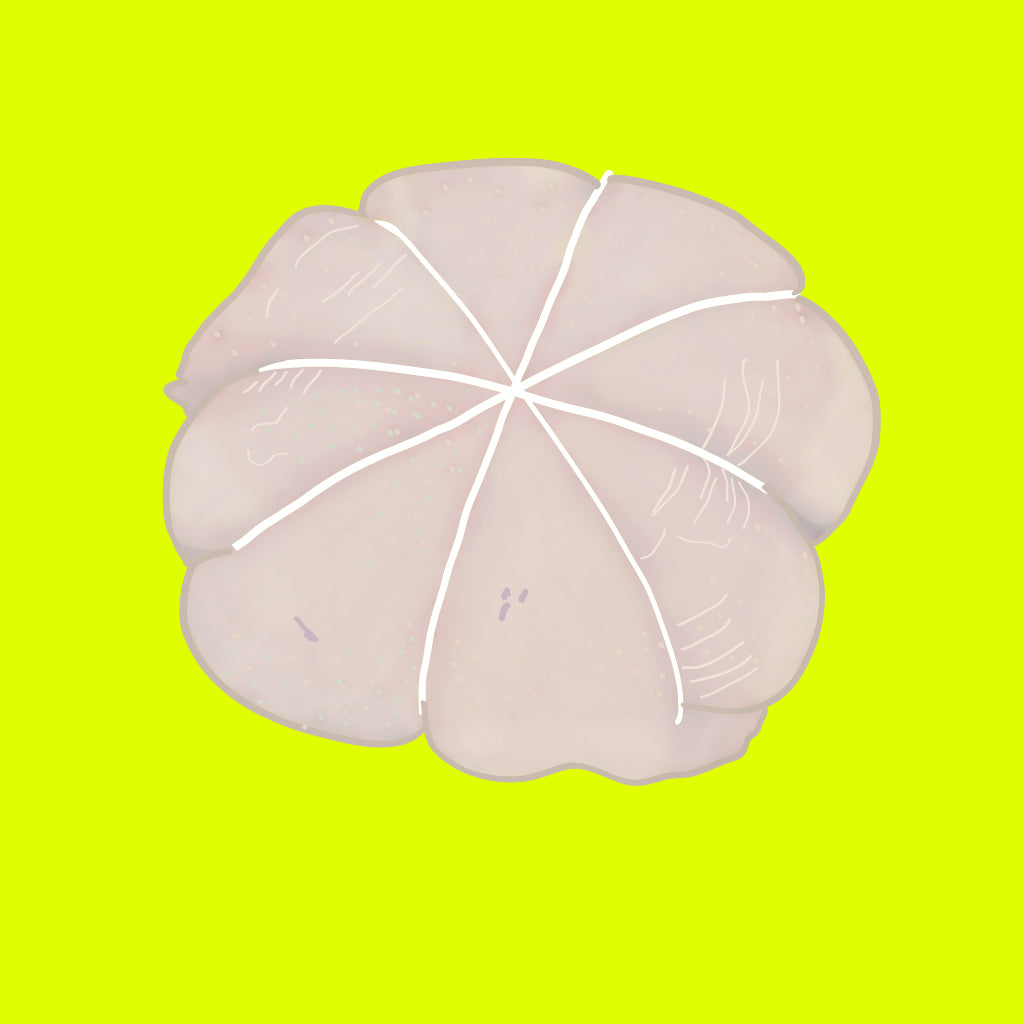 Organic boneless chicken
