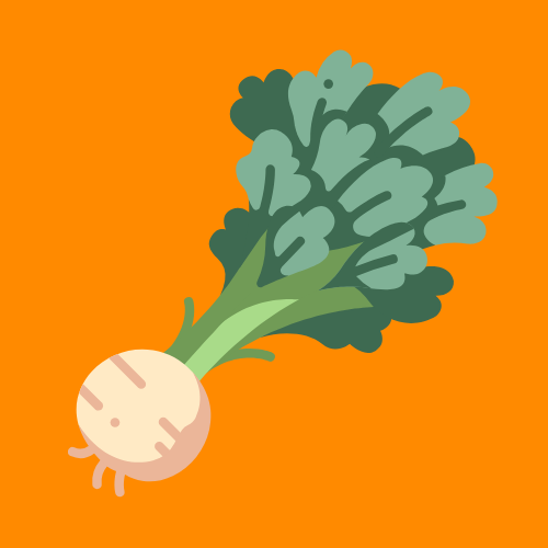 Biodynamic Organic Celeriac