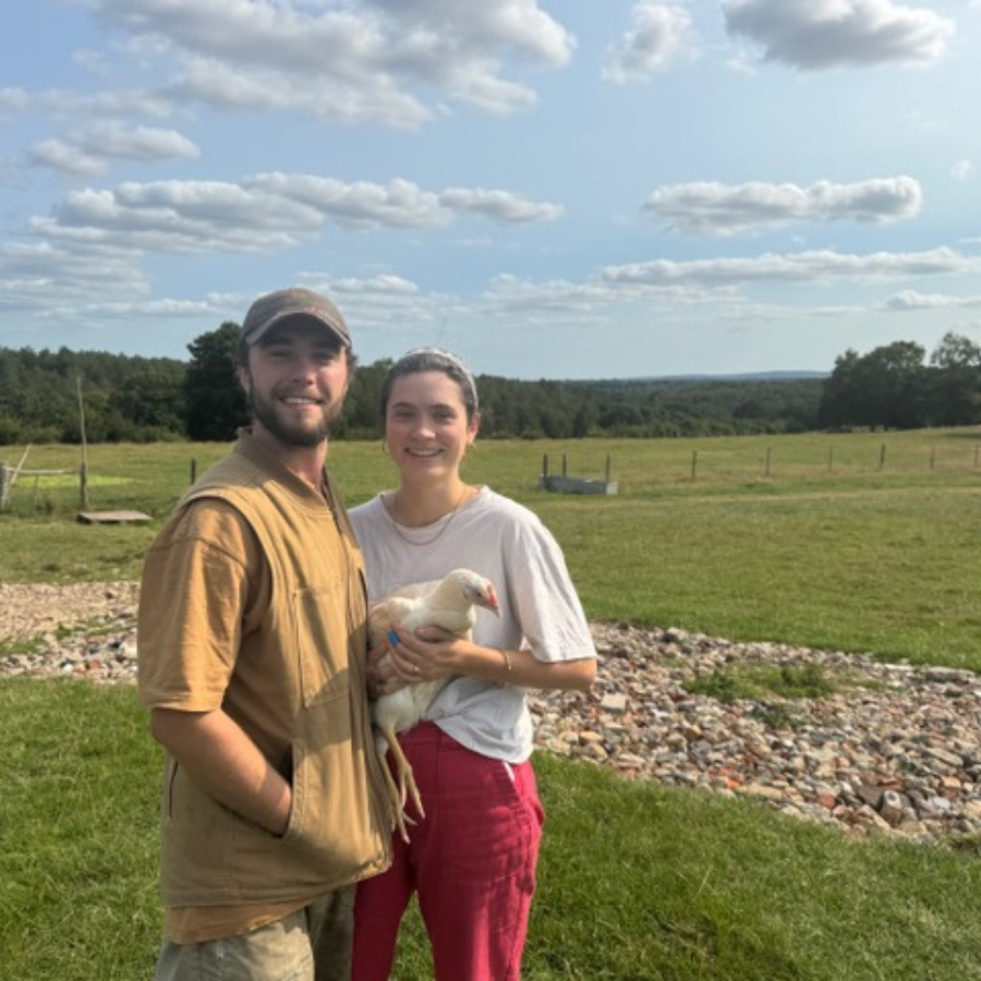 Regenerative whole chicken