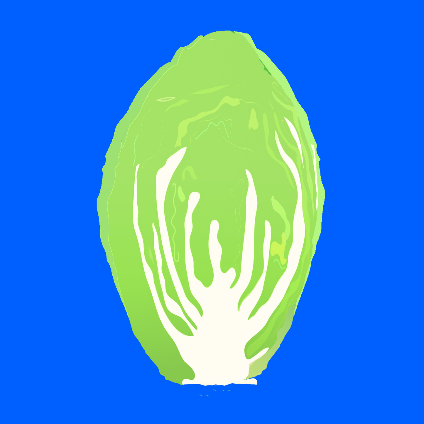 Biodynamic organic chinese cabbage