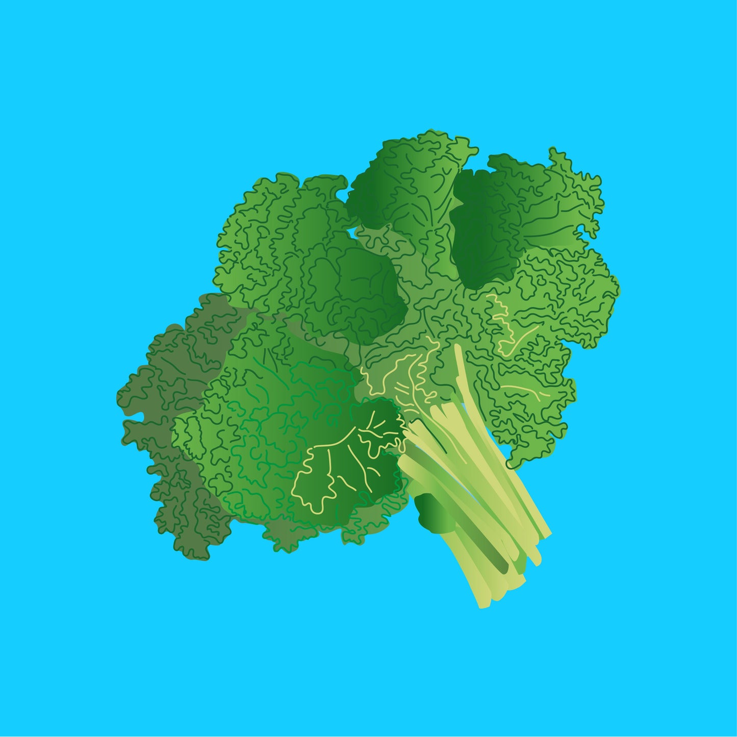 Organic green kale
