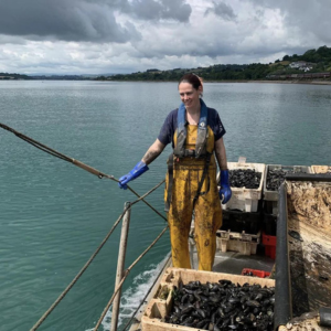 Rope grown mussels