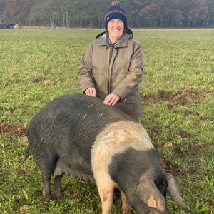 Organic pork collar steak
