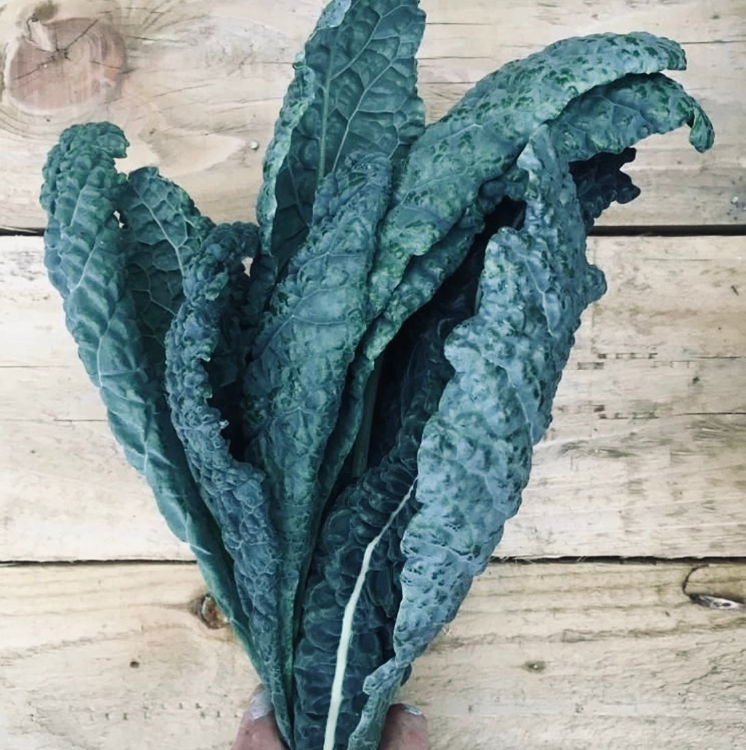 Organic cavolo nero
