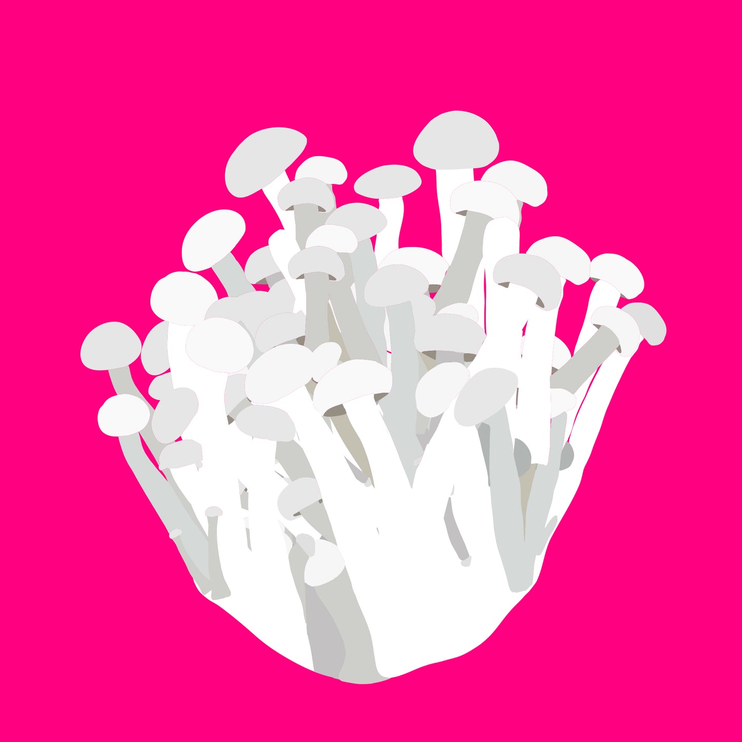 Organic beech mushrooms