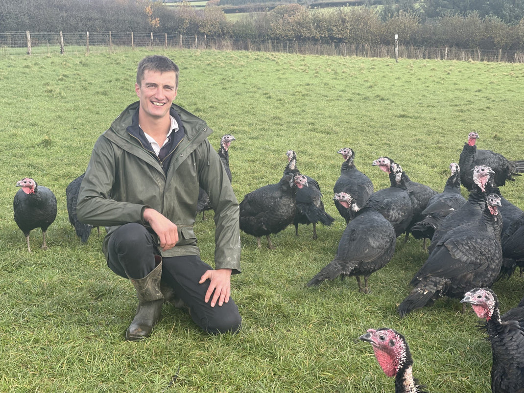 Organic turkey meatballs
