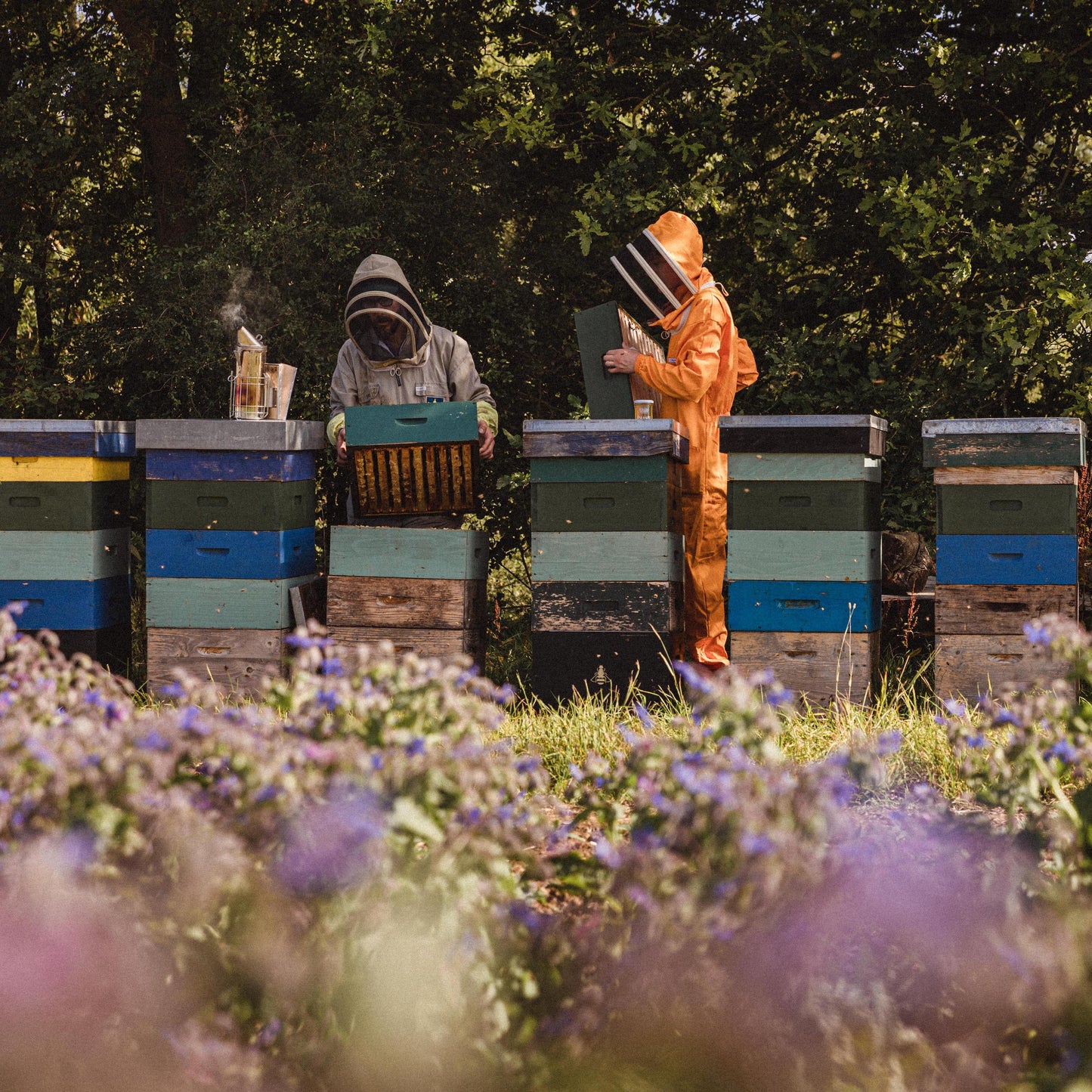 Smoked chipotle chilli honey