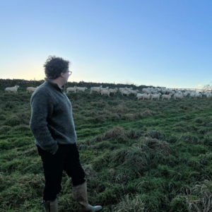 Pasture fed organic lamb mince