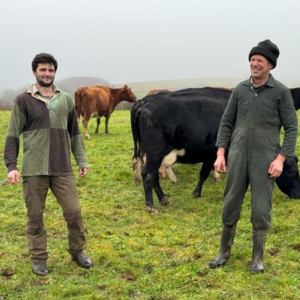 Pasture fed organic double cream