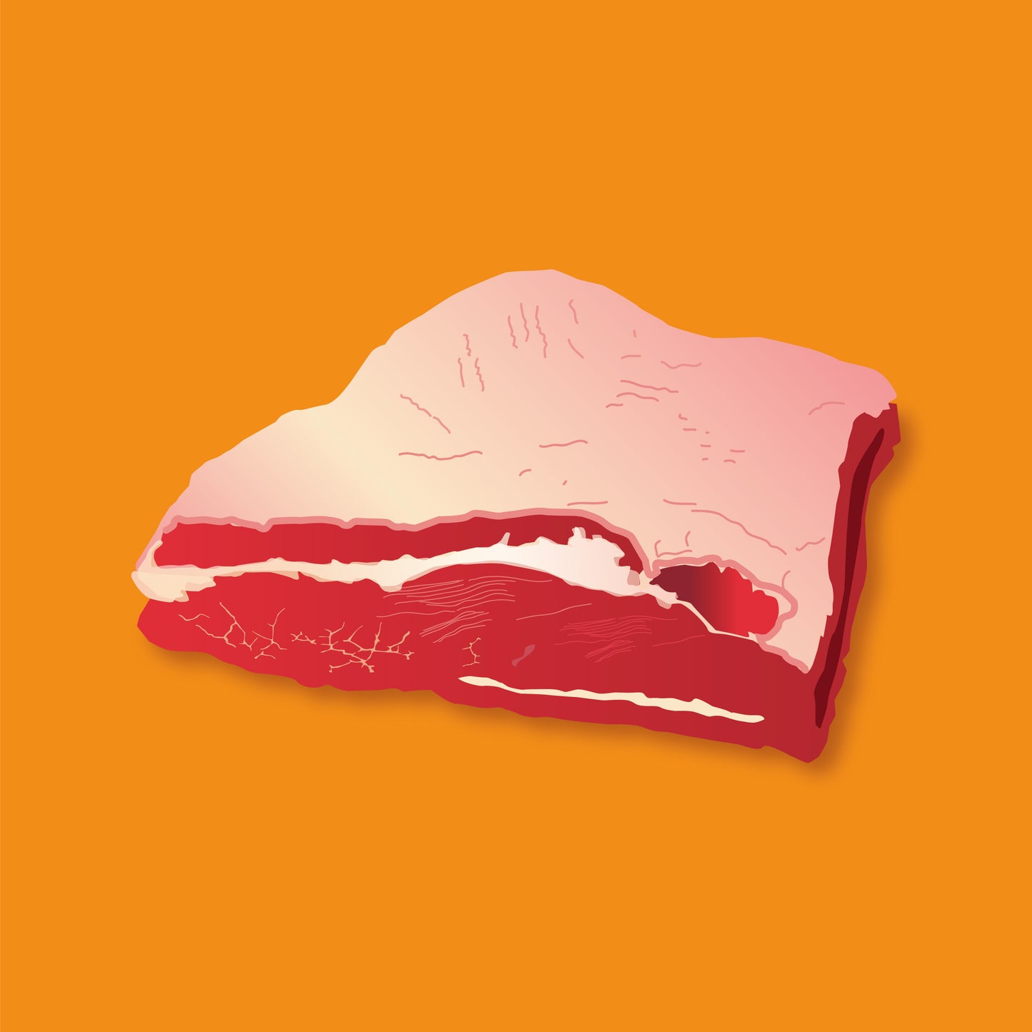 Pasture fed organic flat brisket
