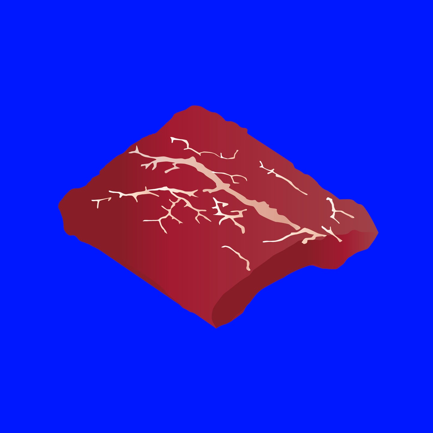 Pasture fed organic flat iron steak