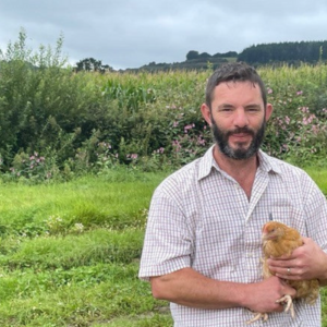 Organic chicken wings