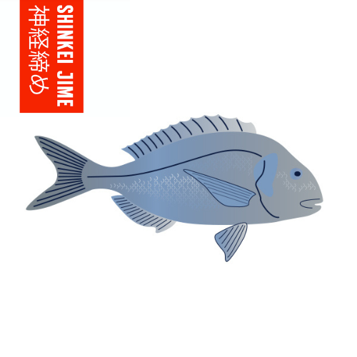 Wild Black Bream - Shinkei Jime