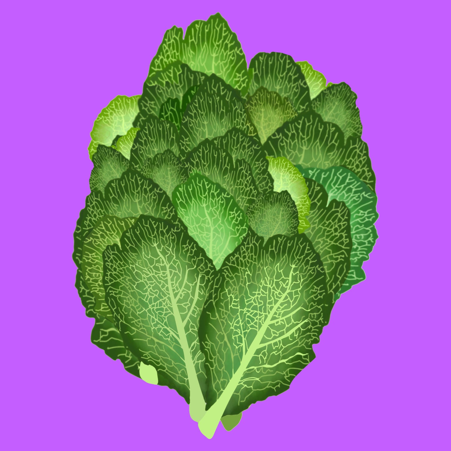 Organic savoy greens
