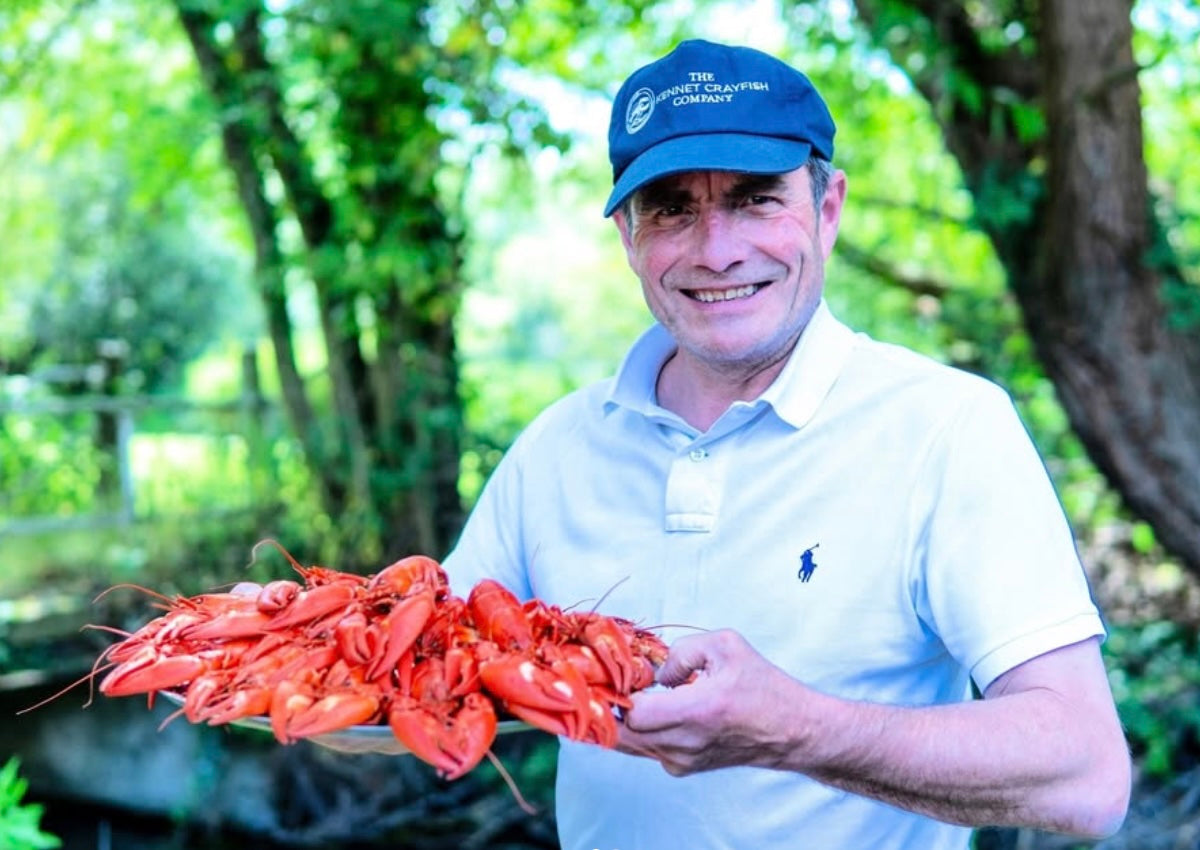 Wild crayfish Swedish style