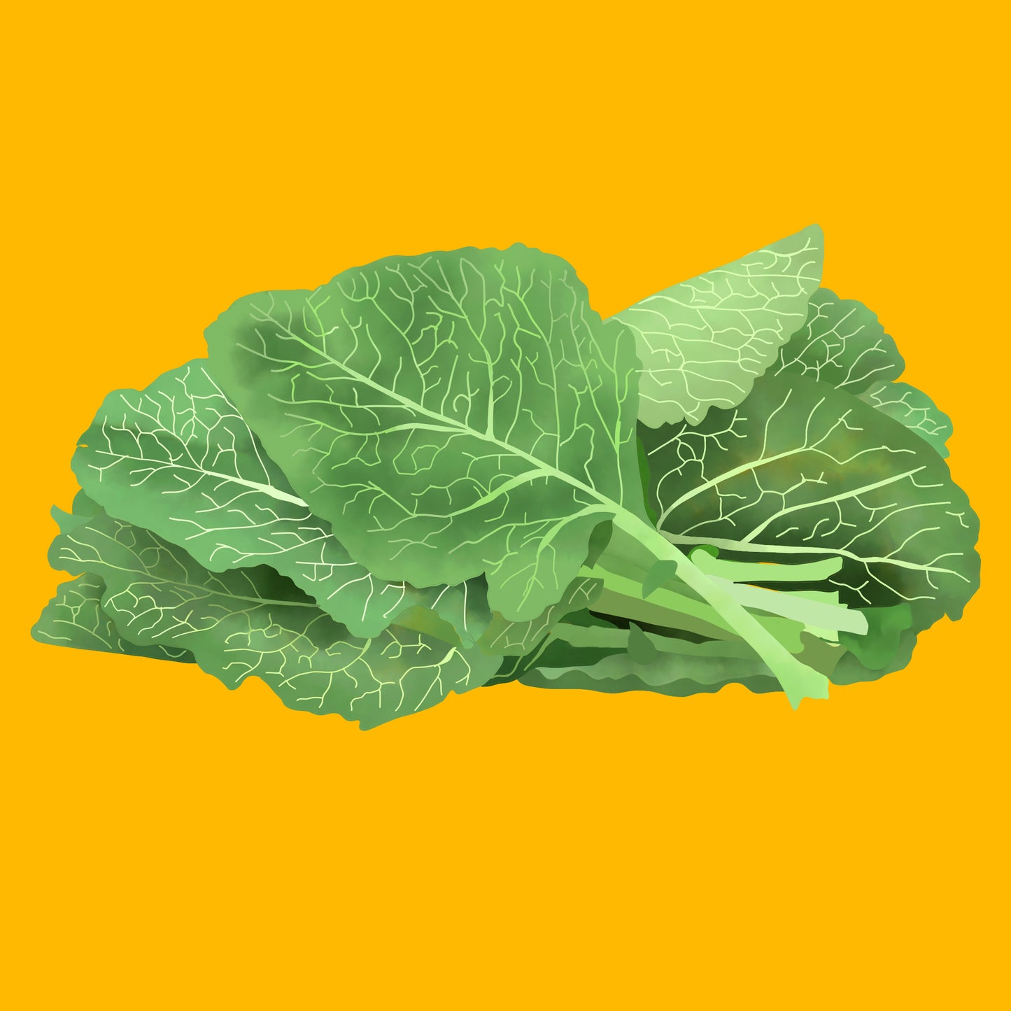 Organic collard spears