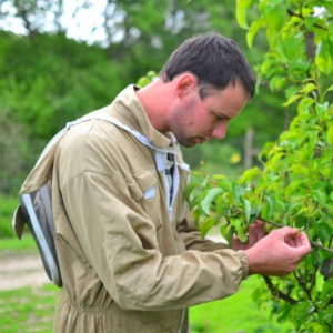 Biodynamic Organic Apple Juice
