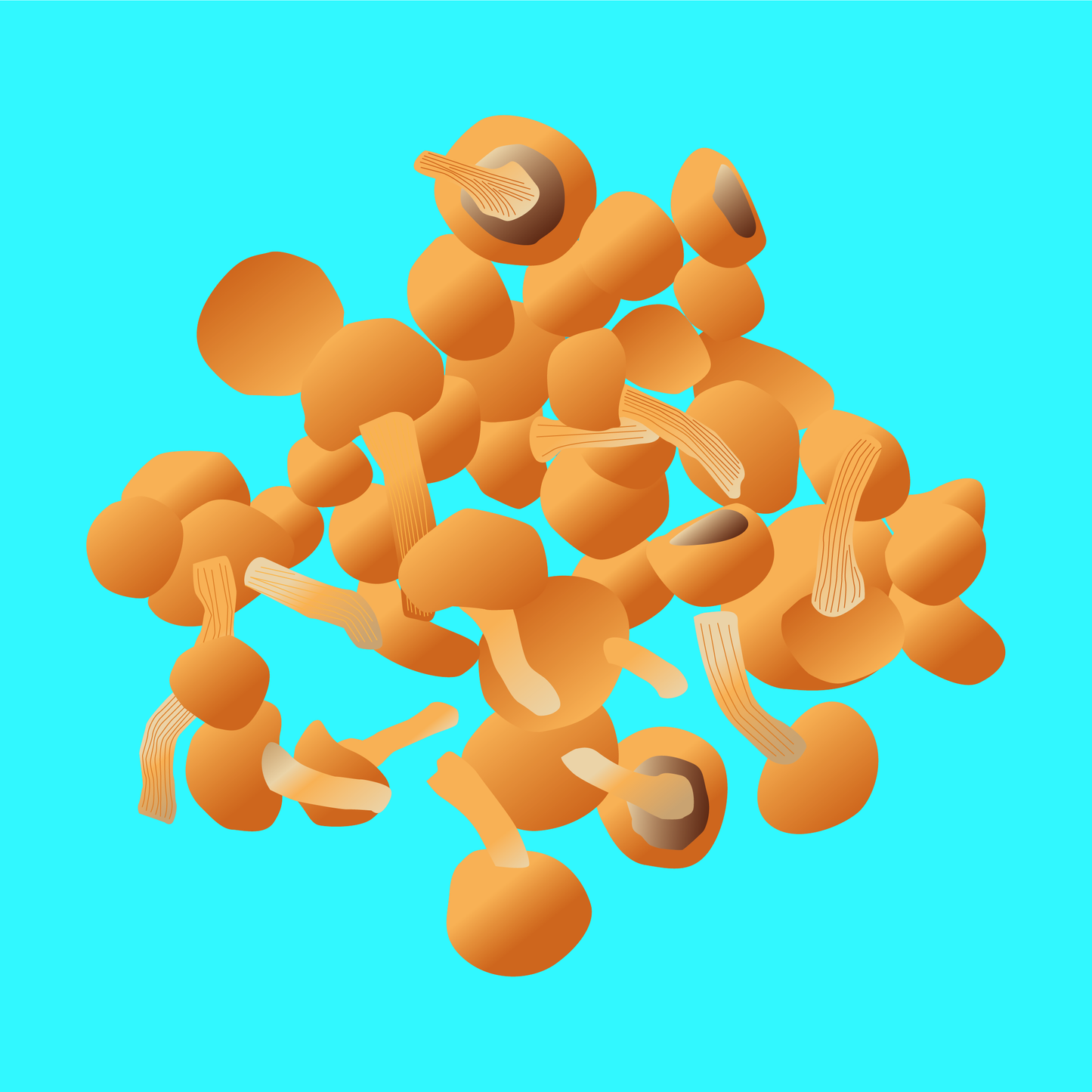 Organic butterscotch mushrooms