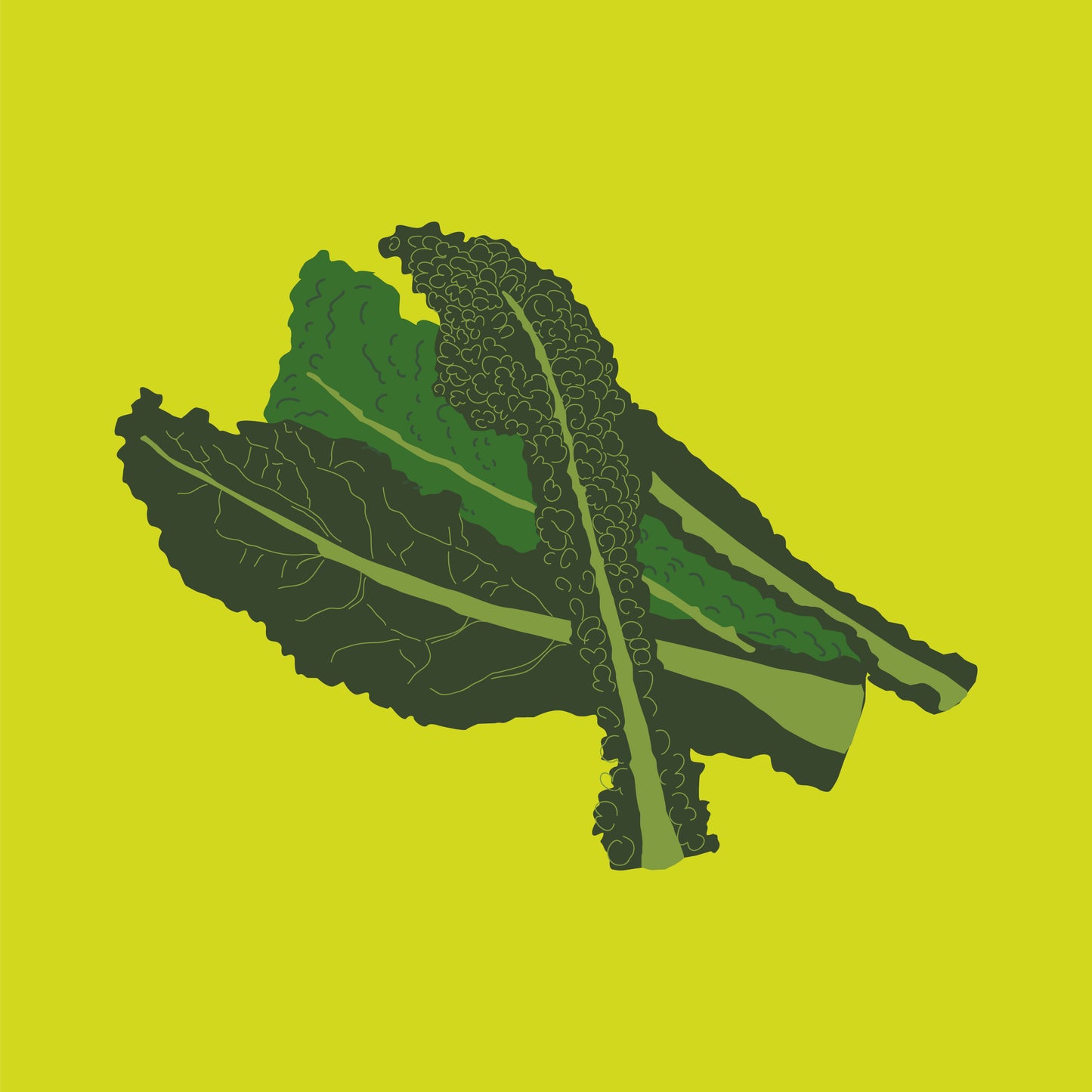 Biodynamic organic cavolo nero