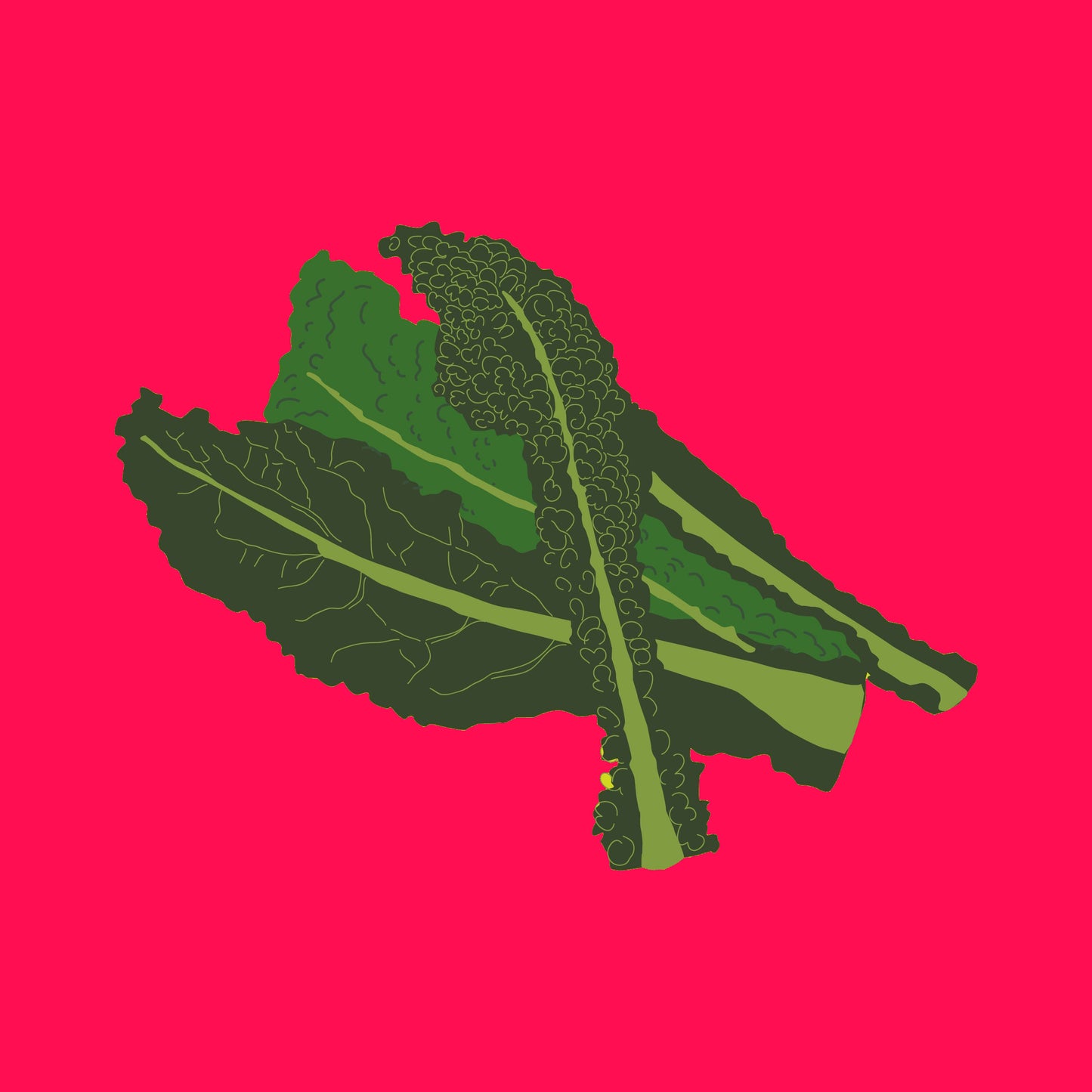 Organic cavolo nero