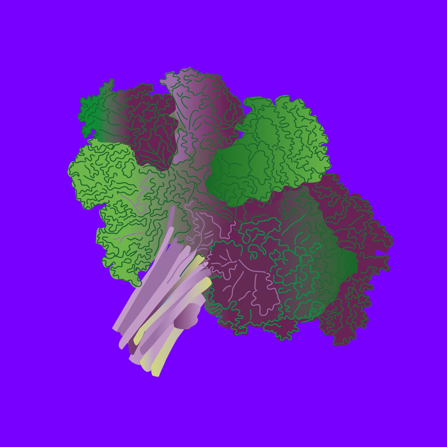 Organic purple kale