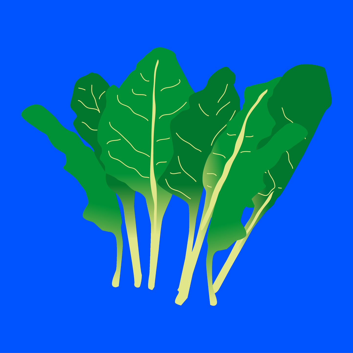 Organic perpetual spinach