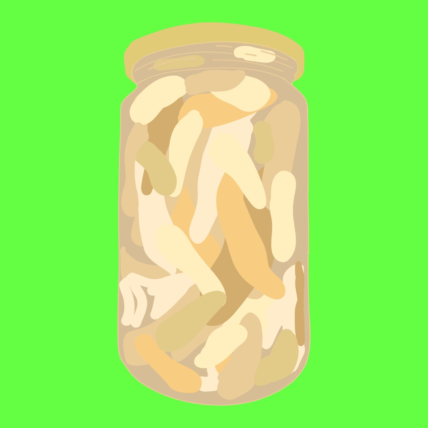Biodynamic organic fermented fennel