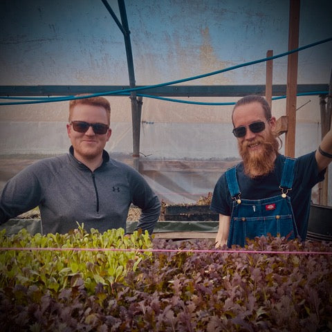Biodynamic Organic Pea Shoots