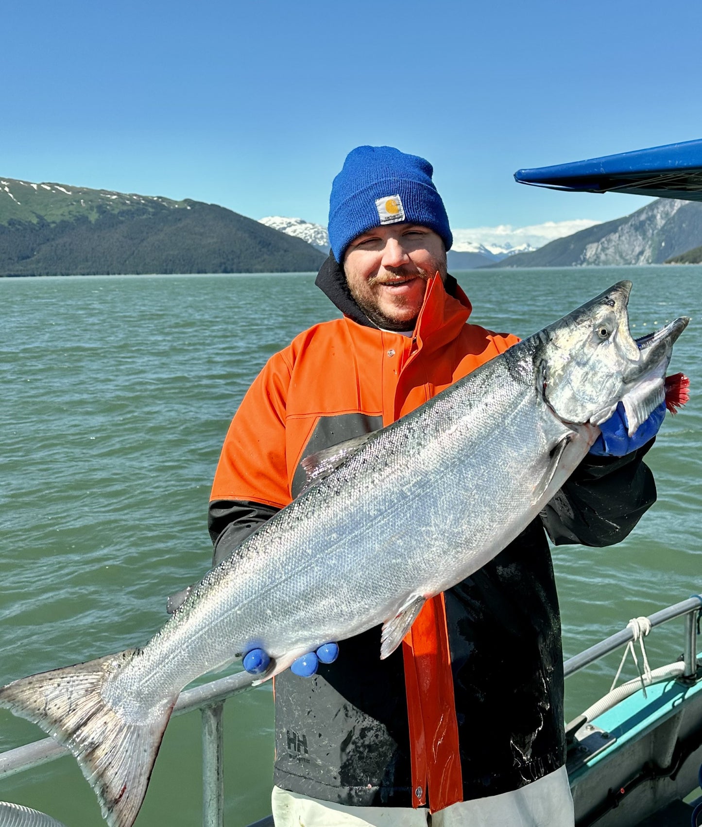 Frozen line caught wild coho Alaskan salmon