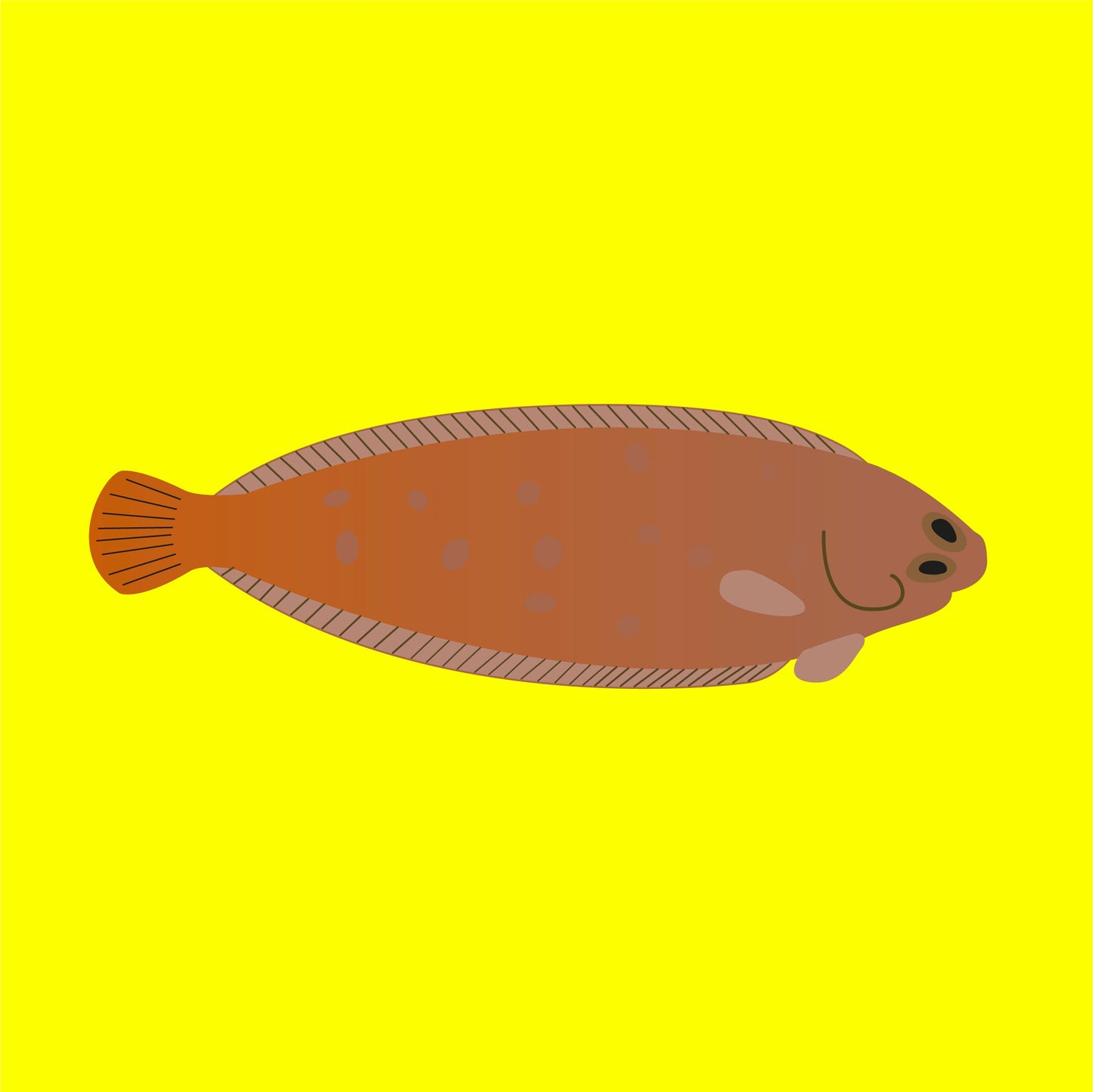 Wild Dover sole
