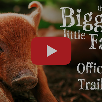 Wylde about....The Biggest Little Farm.