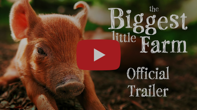 Wylde about....The Biggest Little Farm.