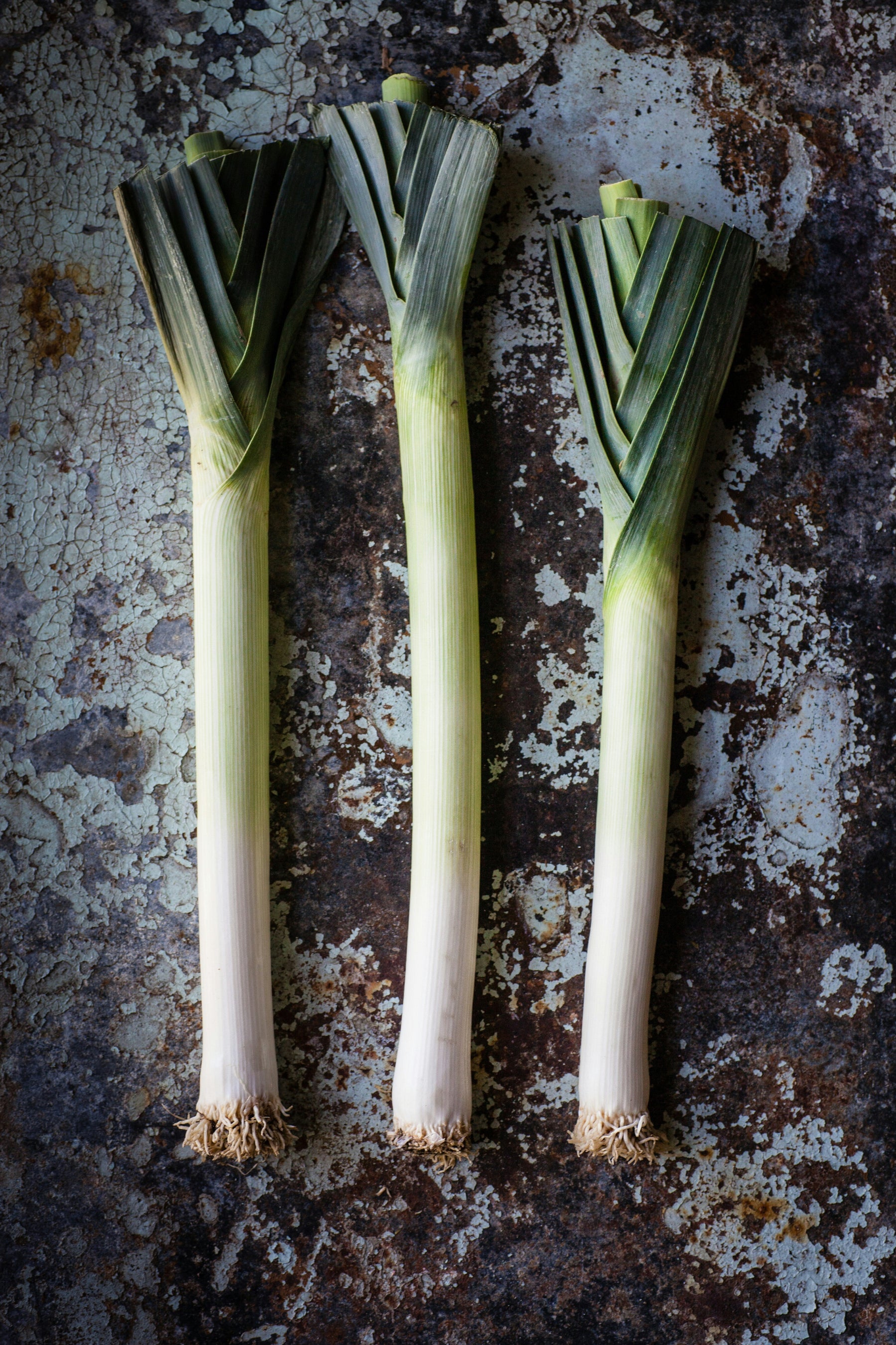 Wylde about....Leeks.