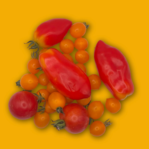 Wylde about….Abundance.