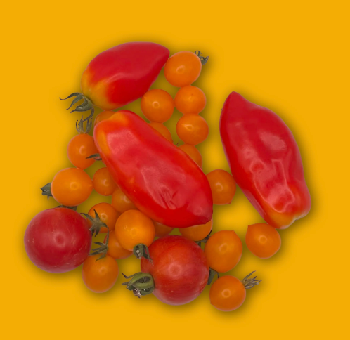 Wylde about….Abundance.