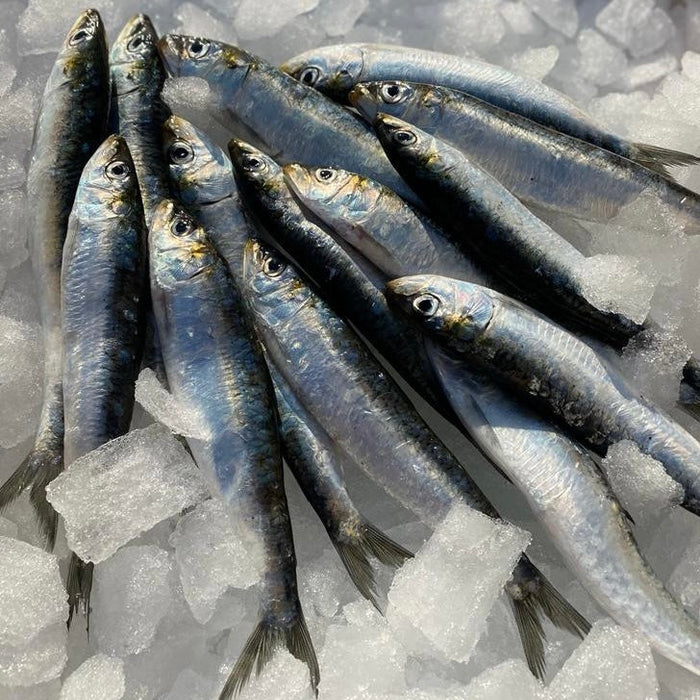 Wylde about....The Humble Anchovy.