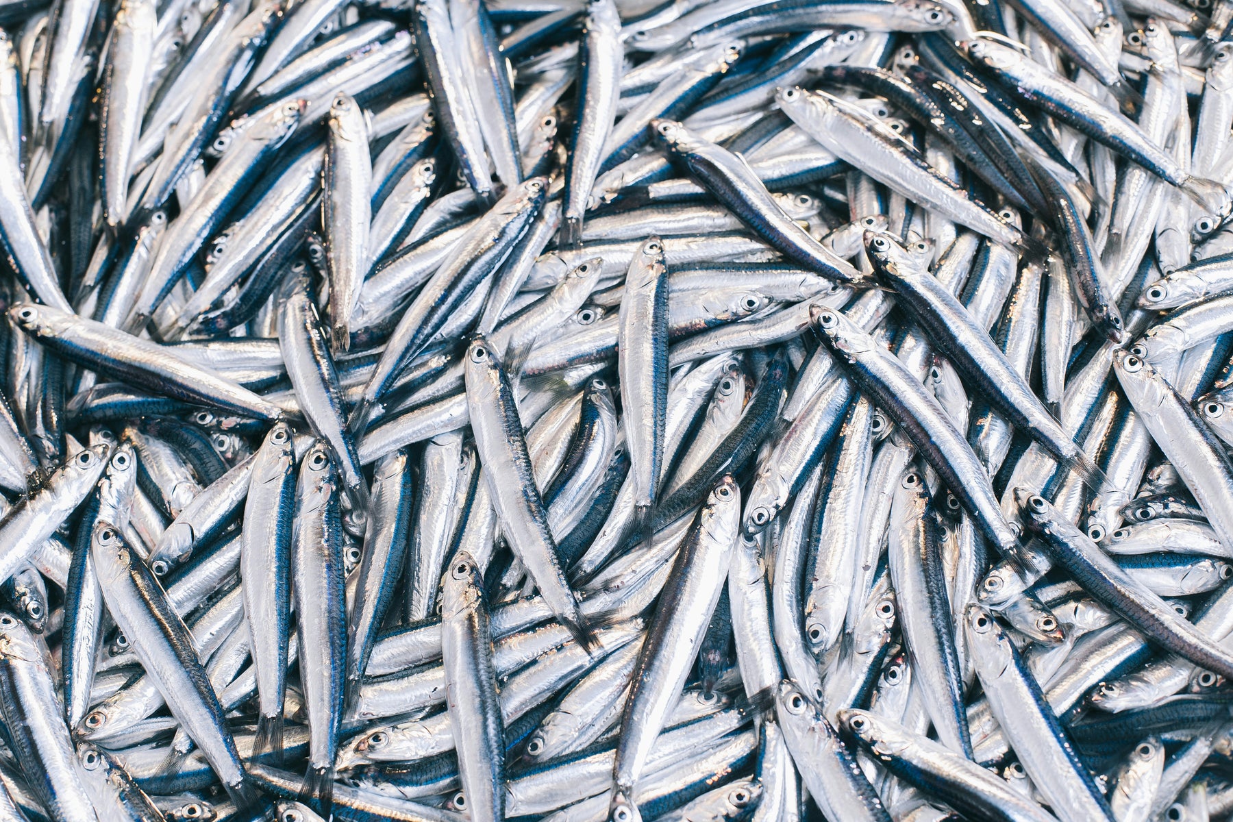 Wylde about....Omega 3.