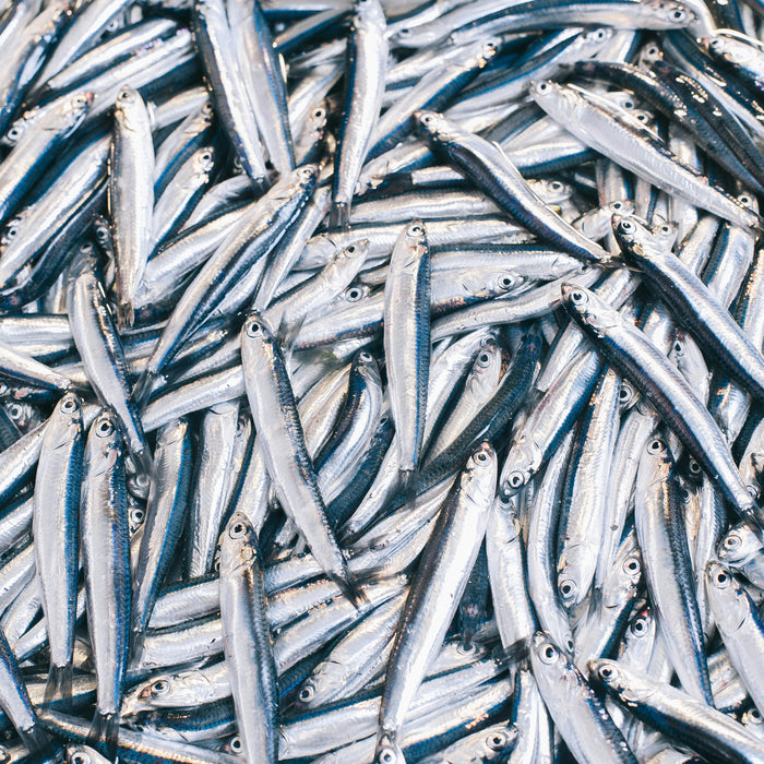 Wylde about....Omega 3.