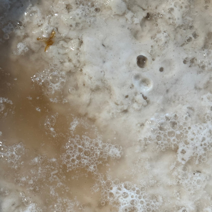 Wylde about....Sourdough.