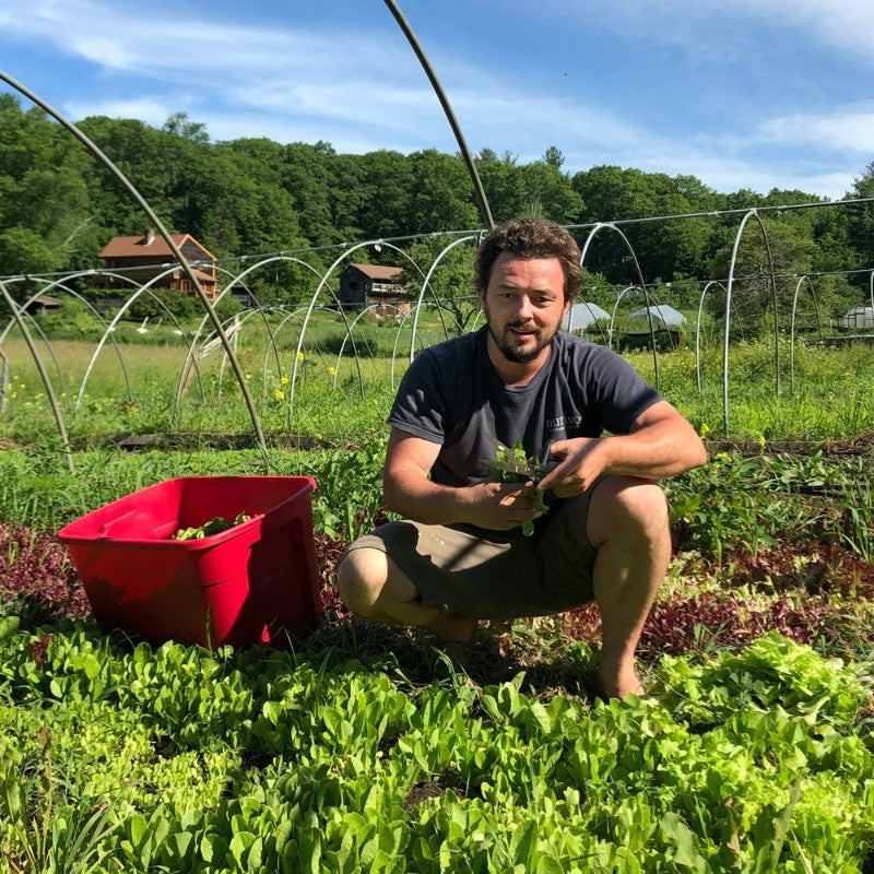 Wylde about.... Nutrient Density.