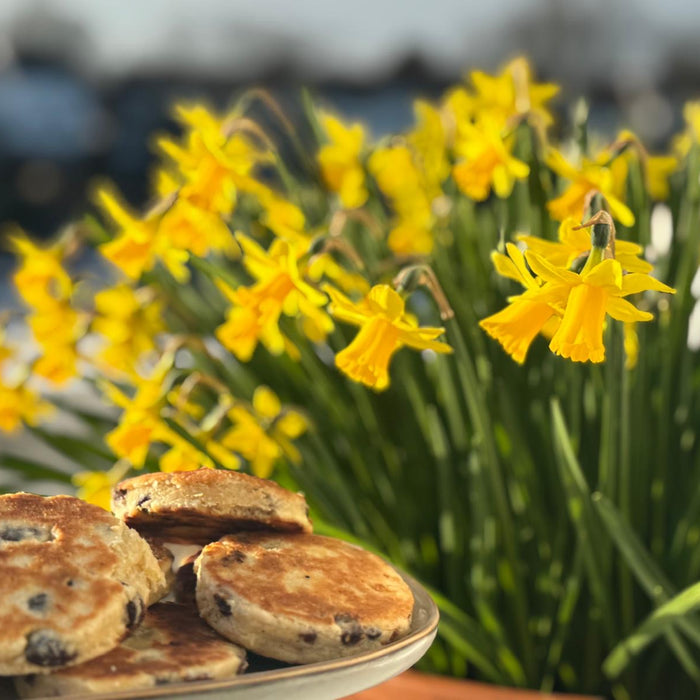 Wylde about….Dydd Gŵyl Dewi.