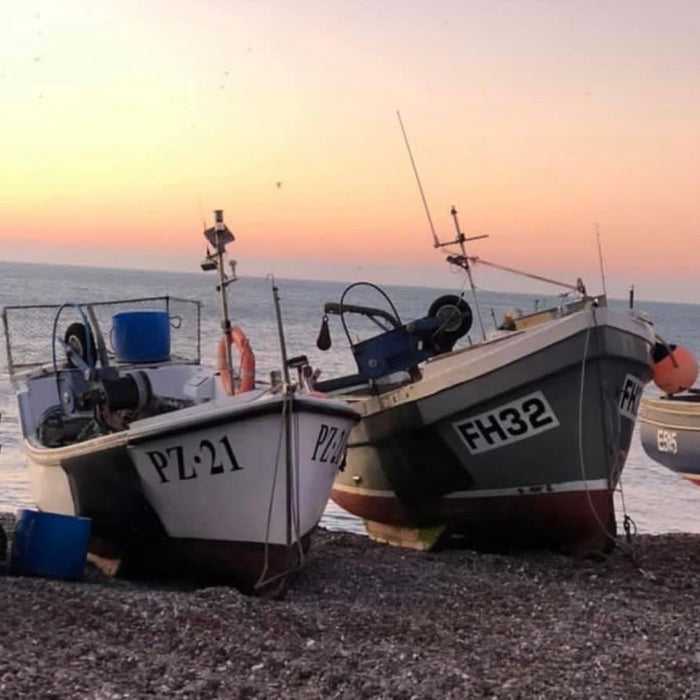 Wylde about....Lyme Bay.