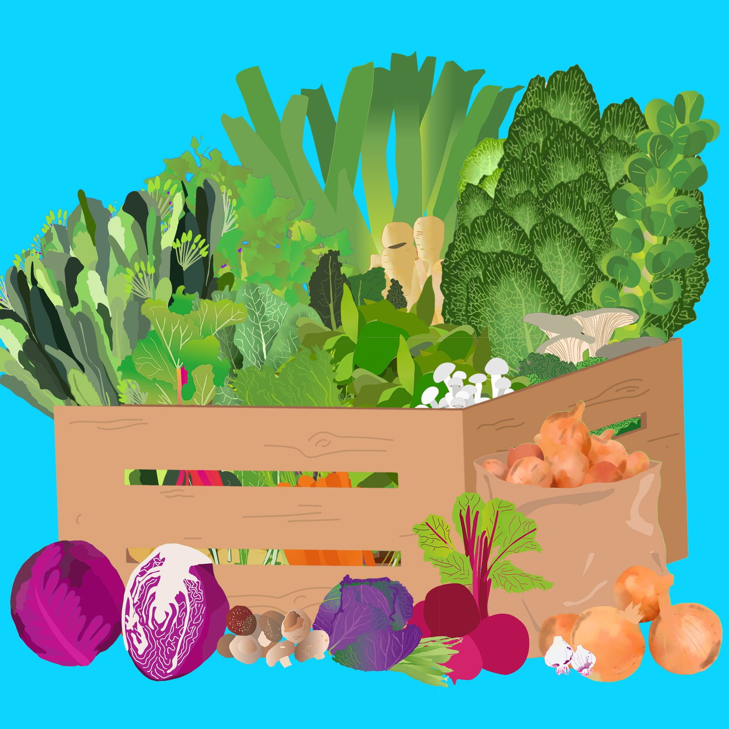 FRUIT, VEG & FUNGI