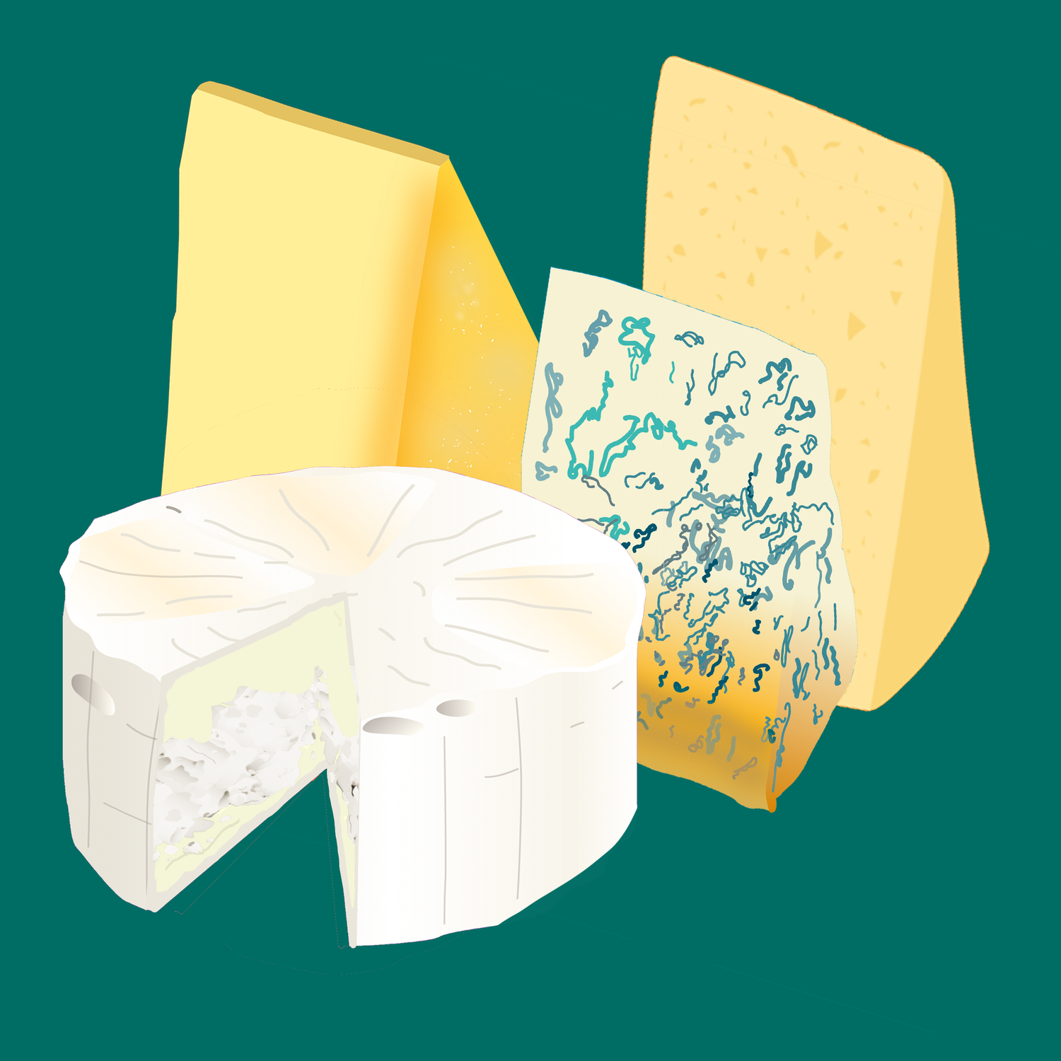 TODAY'S HIGHLIGHTS