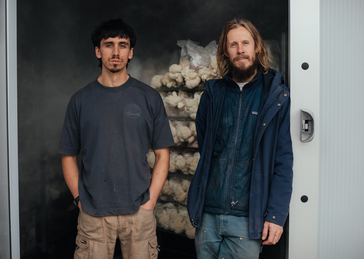 Mic & Luke, Dart Valley