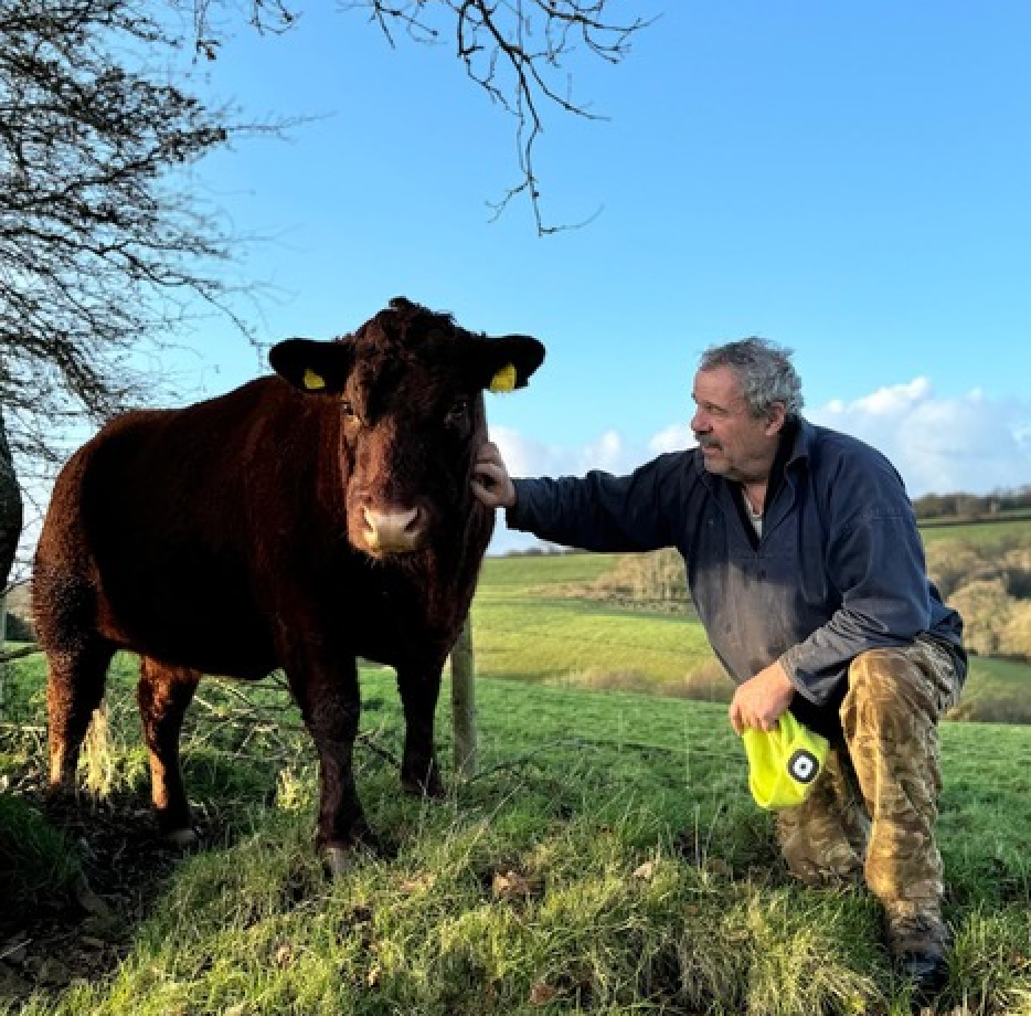 Steve, Higher Fursdon